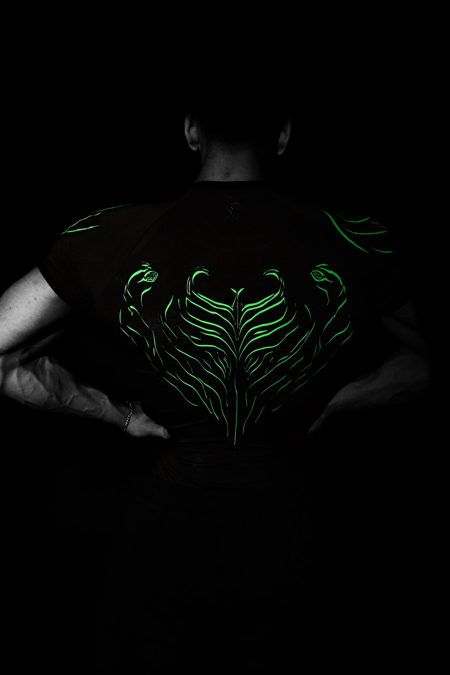ACID GREEN COMPRESSION